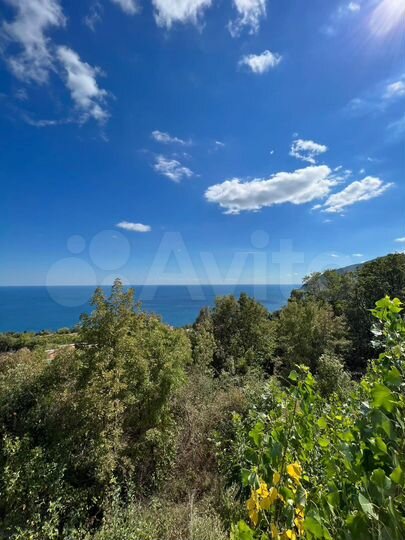 Участок 5 га (ИЖС)