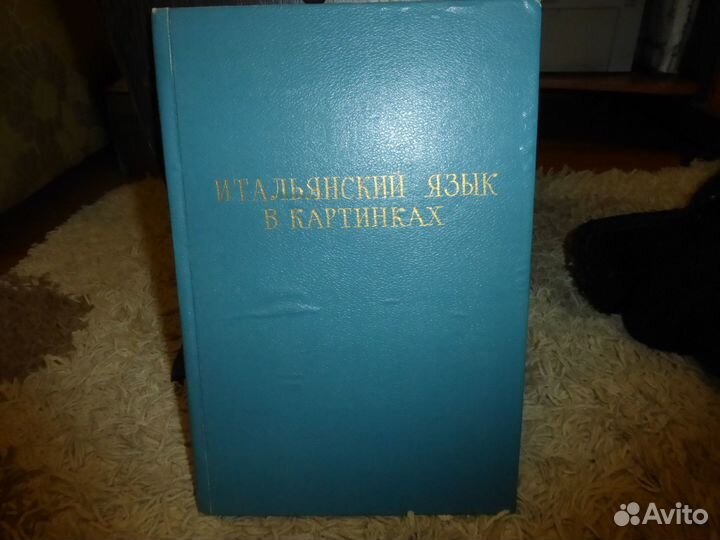 Итальянский язык в картинках