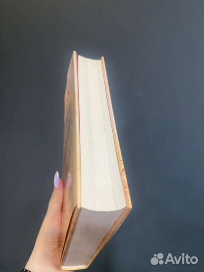 Николл. Леонардо да Винчи