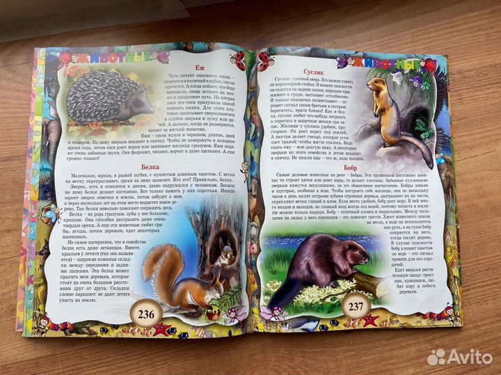 Большая энциклопедия школьника