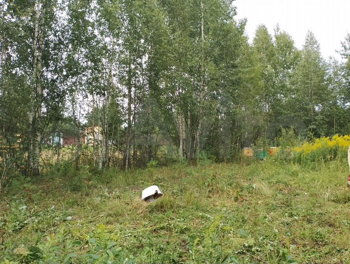 Участок 10 сот. (СНТ, ДНП)