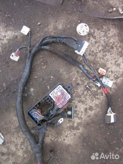 Электропроводка салона (Hyundai Equus)