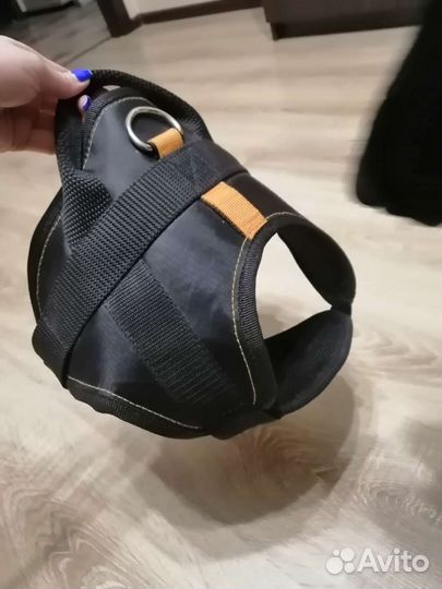 Продам шлейку для собаки