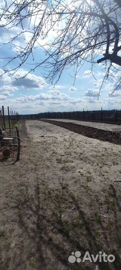 Вспашка огорода мотоблоком