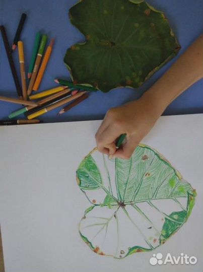 Репетитор по рисунку