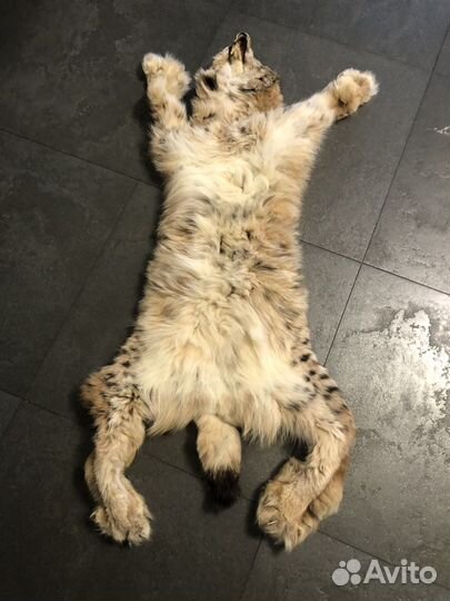 Рысь имитация