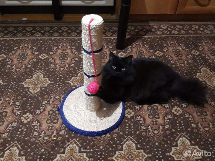 Точилка для кошек