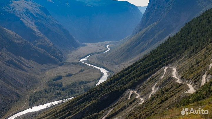 Алтай летний путевка экскурсии от 5 - 9 дн