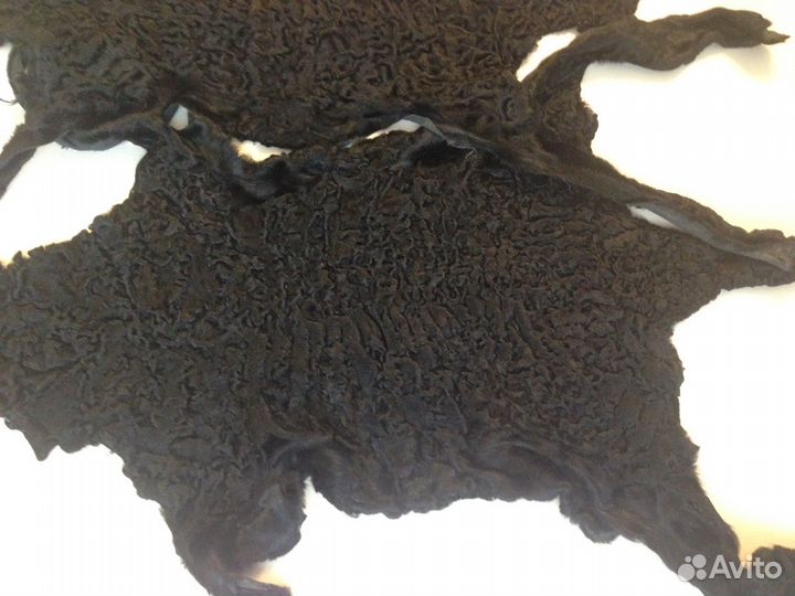 Каракуль чёрный