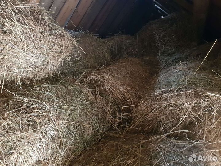 Сено в рулонах сено в мешках в тюках сено рулоны