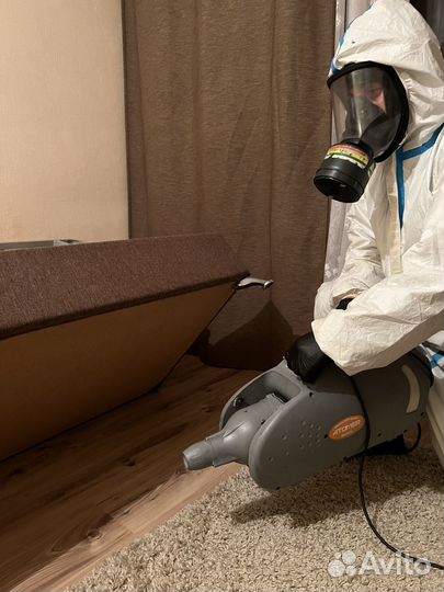 Уничтожение клопов, тараканов. Дезинфекция