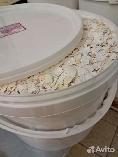 Яичная скорлупа