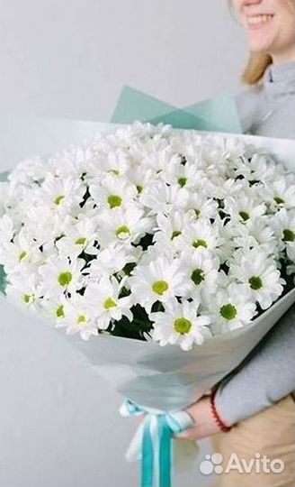 Хризантема Доставка цветов