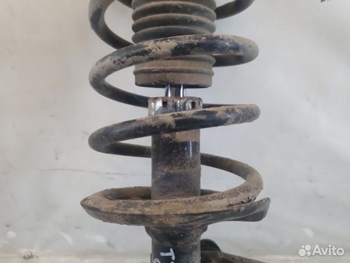 Амортизатор передний левый Chevrolet Aveo T250