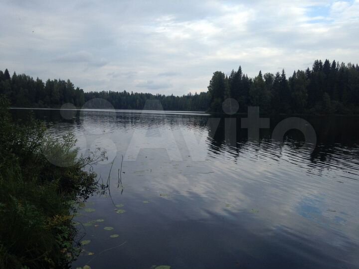 Участок 60 сот. (ИЖС)