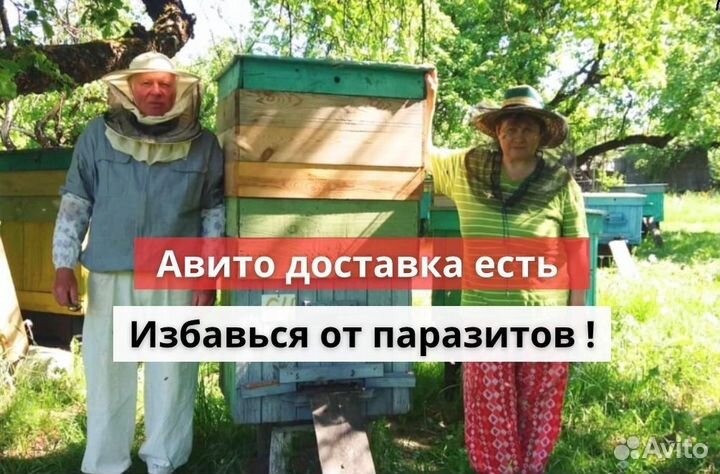 Мёд от паразитов