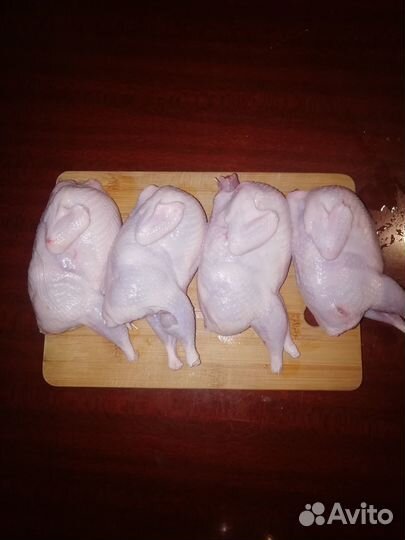 Продам мясо перепелов