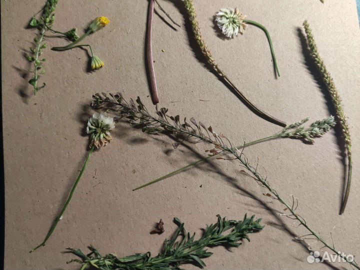 Цветочная композиция на заказ)