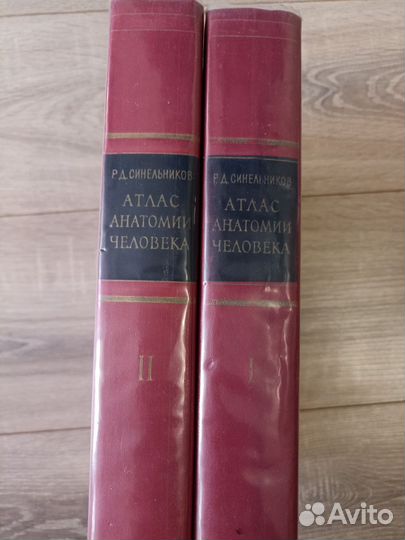 Атлас анатомии человека