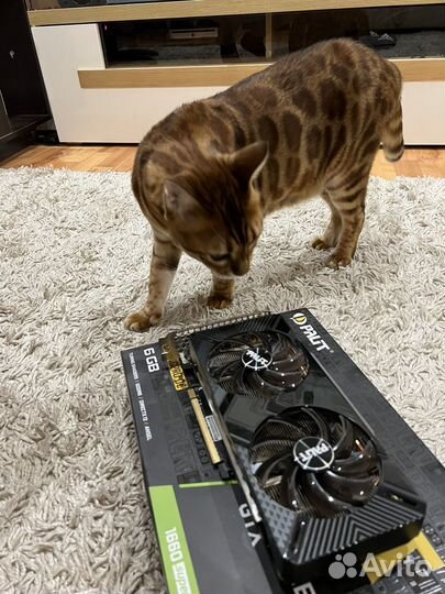 Видеокарта gtx 1660 super 6gb
