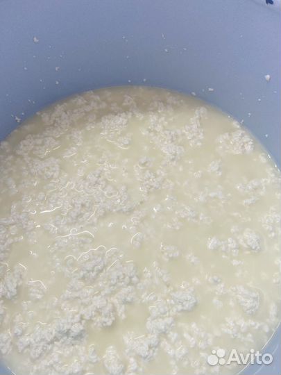 Козье молоко, сливки, масло сливочное, творог