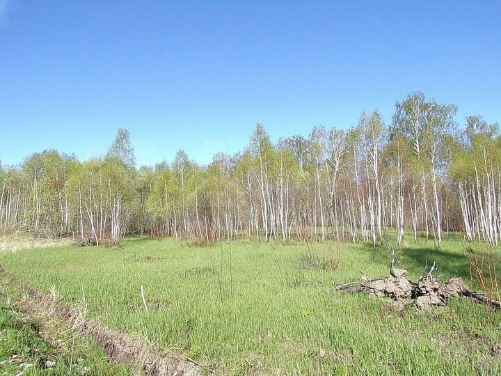 Участок 15 сот. (ИЖС)