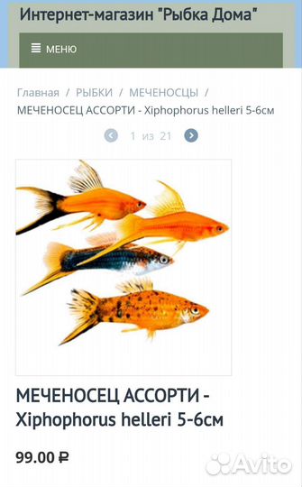 Меченосец в ассортименте Аквариумные рыбки