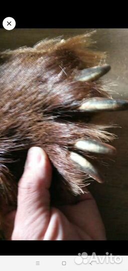 Шкура медведя имитация