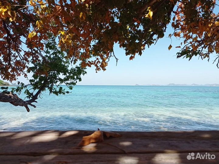 Паттайя Топ-Экскурсия Из Паттайи на райский остров