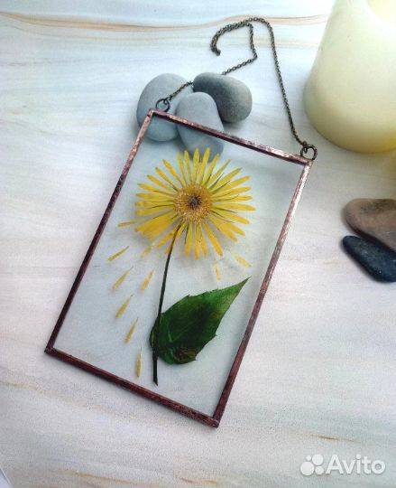 Высушенный цветок в раме handmade