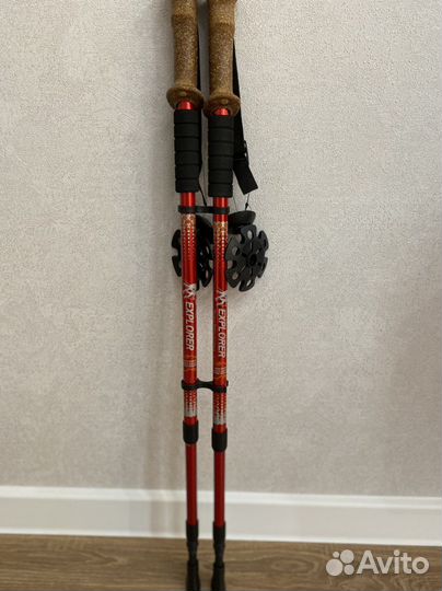 Палки для скандинавской ходьбы (телескопические)