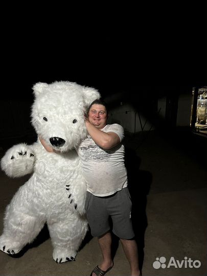 Белый Мишка поздравление ростовой медведь аниматор