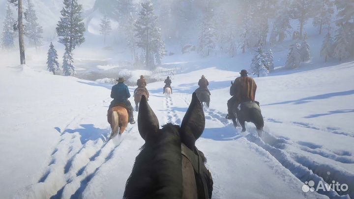 Red Dead Redemption 2 новый