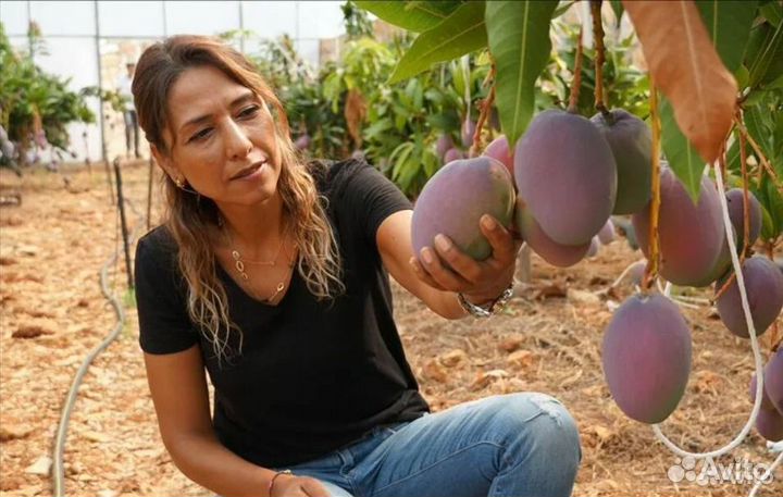 Ищу партнера из Благовещенска