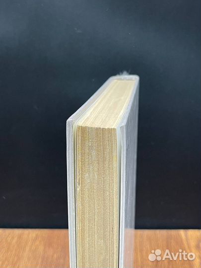 Пропавшие. Среди живых. Выстрел. В орельей гриве