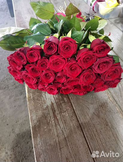 Розы, букет цветов