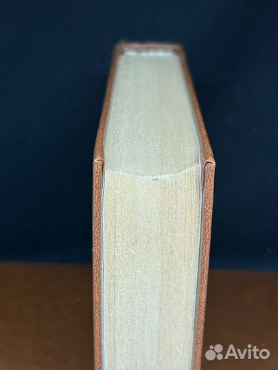 У Лукоморья