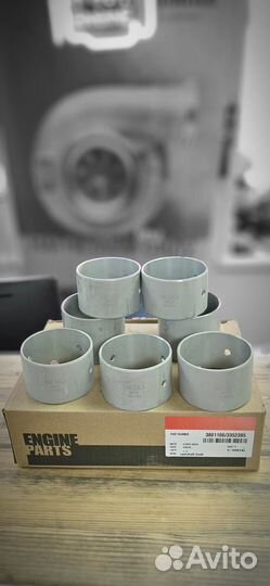 Вкладыши распредвала Cum N14 (к-т на двиг. ) /3801