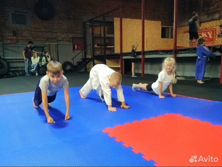 Маты ласточкин хвост для школы от производителя