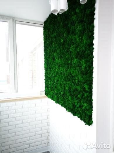 Мох стабилизированный оптом и в розницу