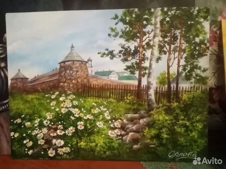 Соловки, лето ромашек