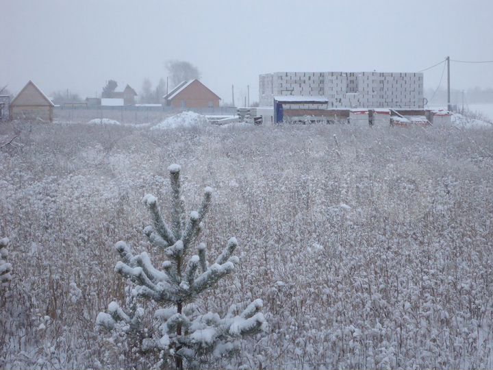 Участок 19,6 сот. (ИЖС)