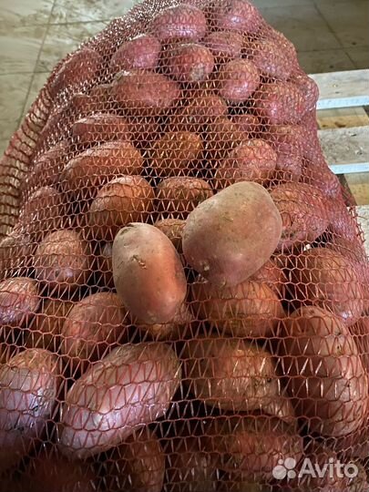 Картофель и другие овощи с доставкой