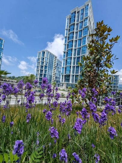 Квартира-студия, 21,2 м², 15/19 эт.