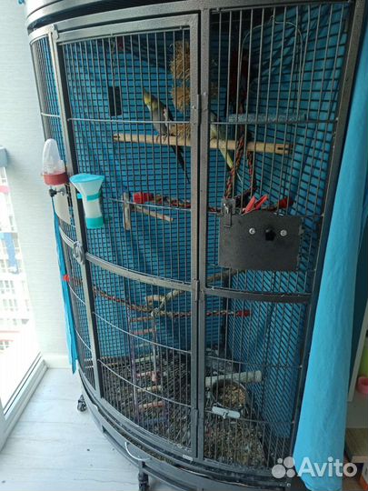 Клетка -вольер для попугаев бу