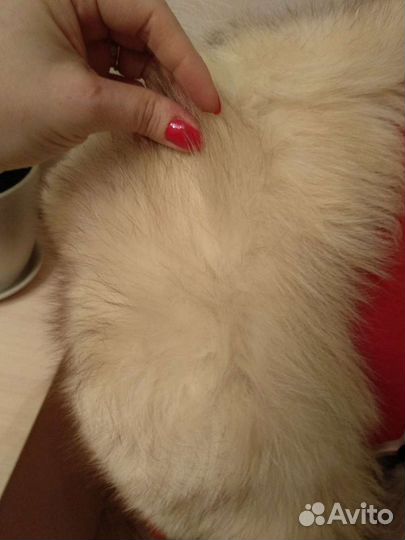 Меховой воротник песец СССР
