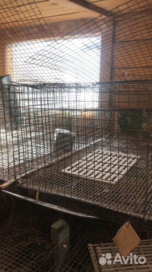 Клетка для кролика