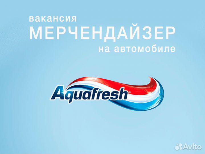 Мерчендайзер на авто (Набережные Челны, Елабуга)