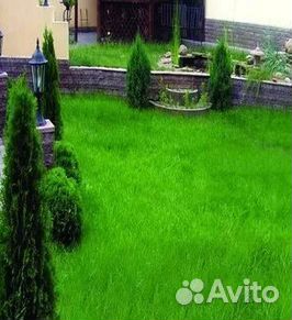 Гидропосев