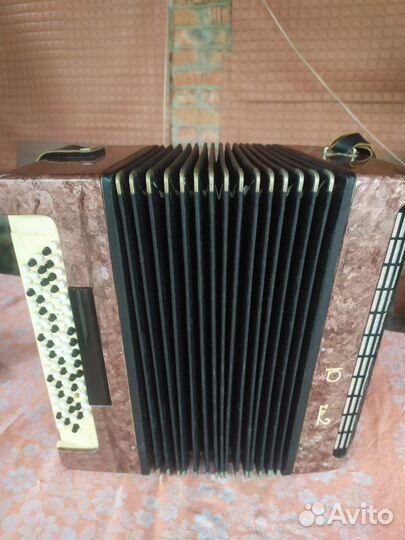 Баян юность-2